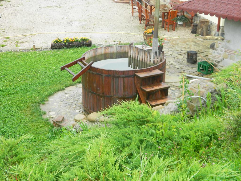 Pensiunea Violeta Saschiz Exterior photo