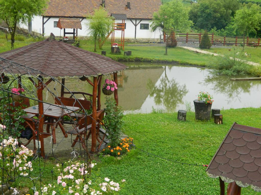 Pensiunea Violeta Saschiz Exterior photo