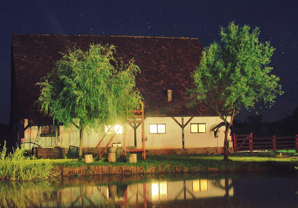 Pensiunea Violeta Saschiz Exterior photo