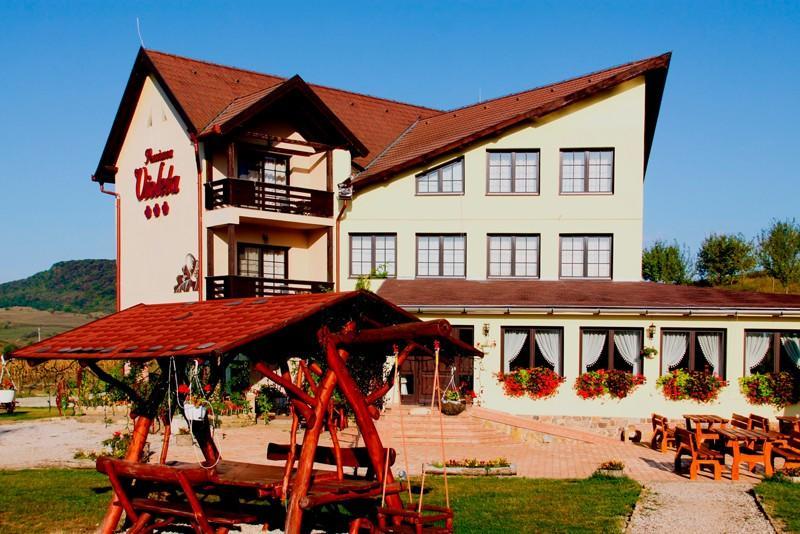 Pensiunea Violeta Saschiz Exterior photo